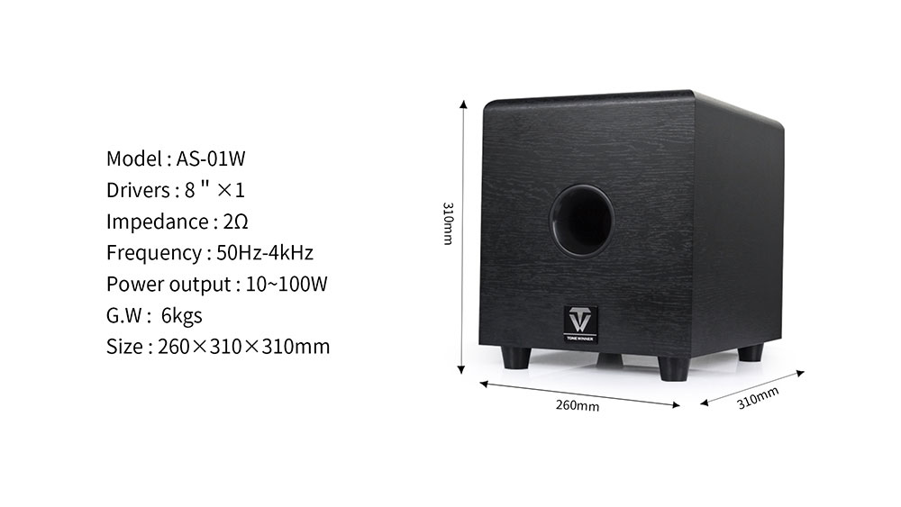 Tonewinner YX-01P Dolby Atmos  – Home Cinema Portable recenzja i cena